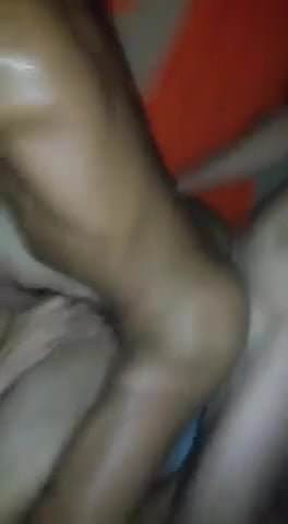 pereira  1