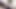Sexy Trans Lover Sucks My Balls & Eats Out My Asshole