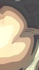 私の喜びのいくつか...