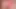 The Little Pink Sissy 05.2022