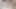 File çoraplı siyah dildo sikişiyor
