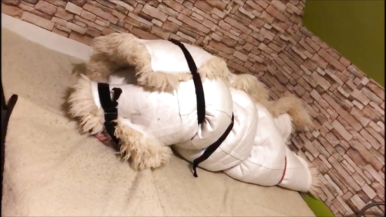 ประสบการณ์ถึงจุดสุดยอดมัดขนสัตว์ของกู