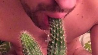 Swineboy fa un pompino a un cactus