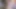 Riley Reid Riley'nin gırtlağına kadar alıyor!