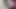 Indian desi Muslim girl wearing hijab took her step brother's dick in her mouth