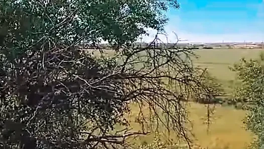 WillyAlexandruPetre video