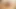 Shrunk, Naked and Embarrassed. Please Giantess Let Me Go?