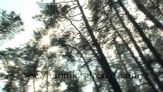 Bir Dinlenme Anı