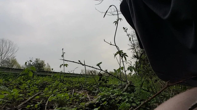 Autobahn dick flash