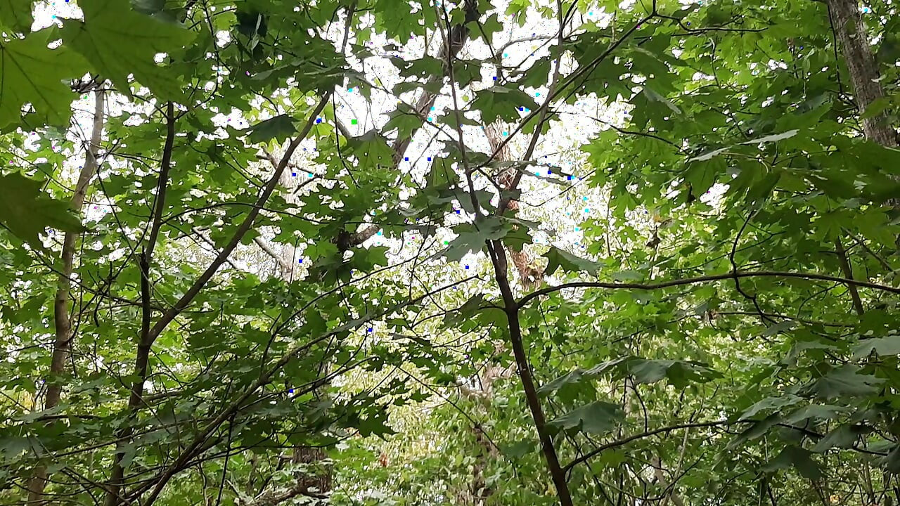 Risky lesbian masturbation in the forest