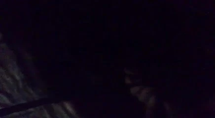 mi novia