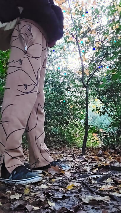 بارك -1 درجة