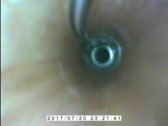 Quick cumming and cum flow.AVI