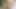 パンティー越しに放尿するエイミー