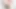 Ateşli kız arkadaş acımasızca sikişirken ve yüksek sesle inlerken sıkı amına tam yarak alıyor