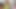 Curvy Blonde TS Shakira Brazil Breaks Him Down Completely
