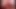 POV cell phone vid of a busty blonde sucking cock