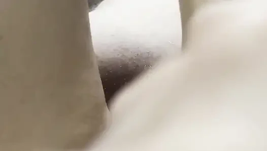 Порнозвезда принимает член