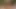 Sissy Di suck Big Black dildo