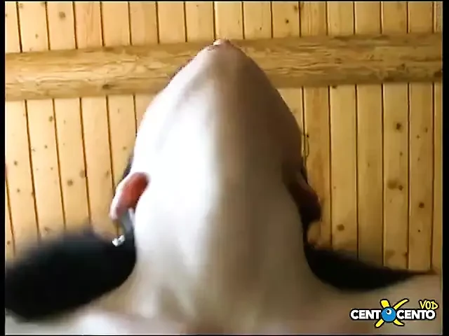 Beautiful exhibitionist sluts craving for cock get their asshole screwed screaming with pleasure (full movie)