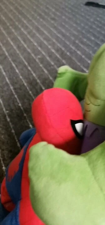 Spider man and hulj