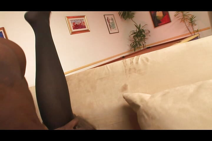 Mooie zwarte en latina pantermeisjes geneukt en ondergespoten in de mond door grote zwarte pikken