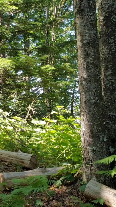 Lady in Red Nerdy Piss Adventures | เลอ กอร์ดอง เบบี้ คลิป 1