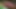 セクシーなアドリアンナ