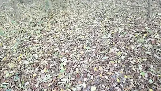 Jerking off in the forest Ukraine