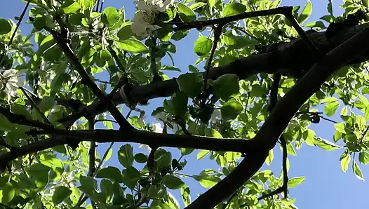 Berjalan di payudara