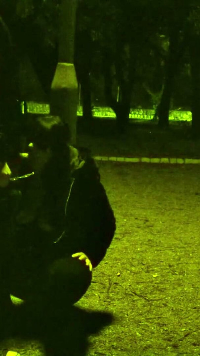 Trafik yanımızdan geçerken köpek gibi tasmalı ben ve herkes bize koşabilir... Paha biçilmez. | Klip 1