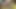 S3xus - बंधन संस्करण - 4k - कफिंग सीजन