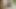 この女の子の大きくてセクシーなお尻に、私は彼女を深く突き刺し、彼女は私のためにオーガズムに達しました
