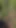 My wife risky out door sex in forest | Clip 1