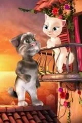 Ты должен наблюдать