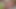 Top Amateur Cumshot Collection Vol. 51 nice Handjob