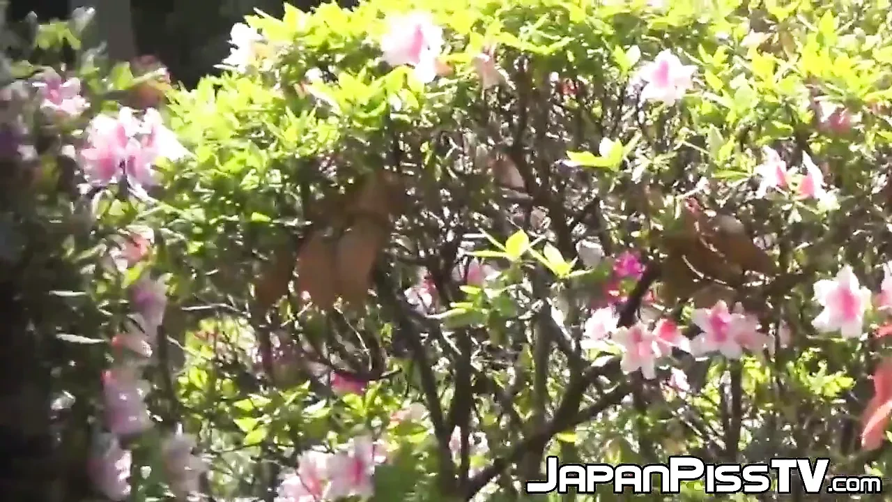 Japanese women can't fight the urge to piss on the streets