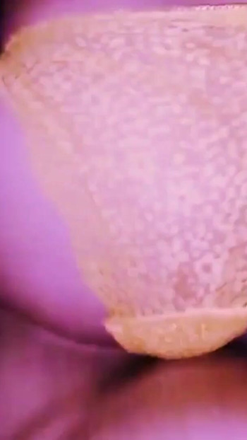 "bebal nepali chikaee, devar bhabhi ki chudaee" se shandar pal