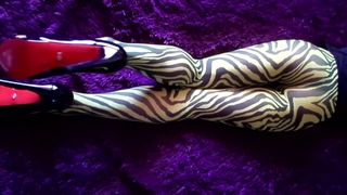 Mein Arsch und meine Beine in Nylon-Zebra-Strumpfhosen und High Heels