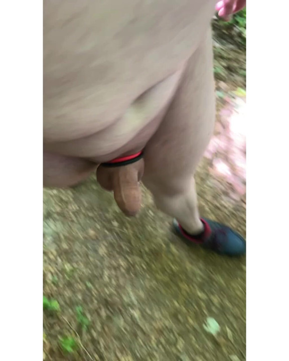 Naked Woods Walk