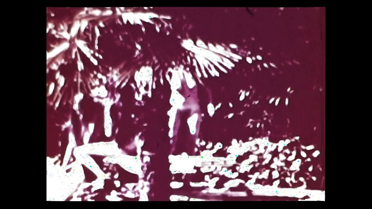 Vintage porn retro erotic theatre - wild sex 5