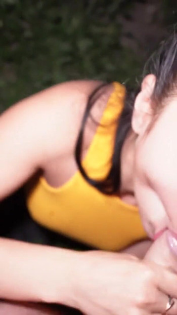 Thrilling moment from "Risky Outdoor Blowjob At Night"