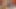 Celeste Star und Nyomi Knoxxx sind lesben mit dicken titten