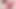 Cum Used ass 13 inch dildo fucked deep with hot red lace panty