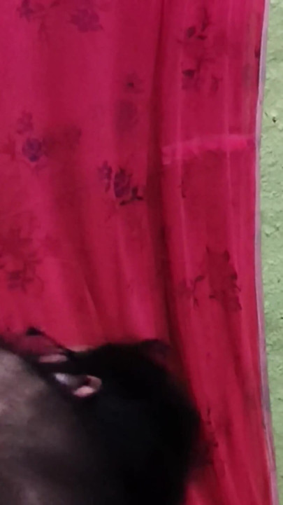Indischer junge fickt sexy heißes bhabi in ihrem zimmer