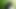 ぬいぐるみで撮影したラテックス写真の提示