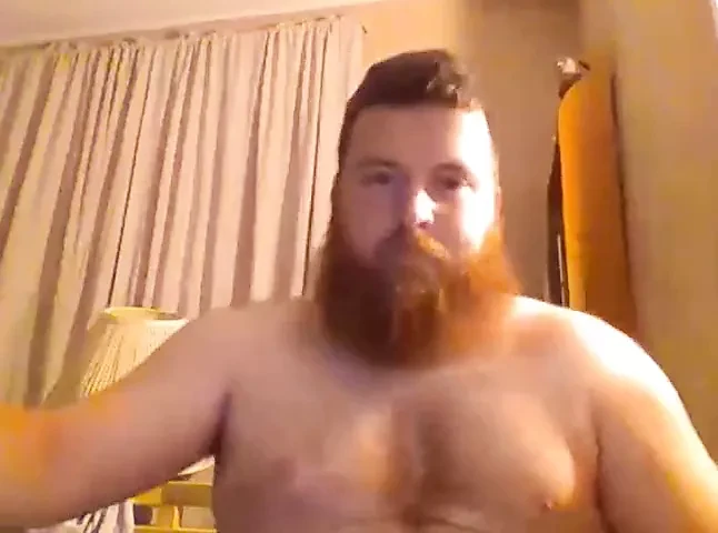 Stocky ginger bear 300620