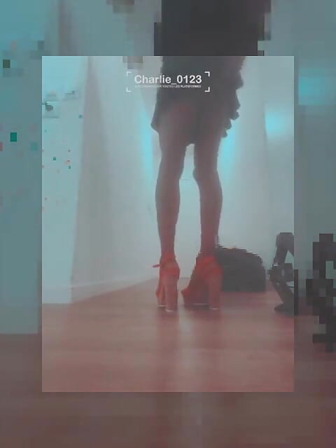 Surimis iznenađenje kuvara