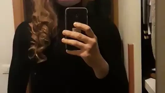 Transmodel