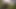Aunt Monika fucked in field by Peasant Boy